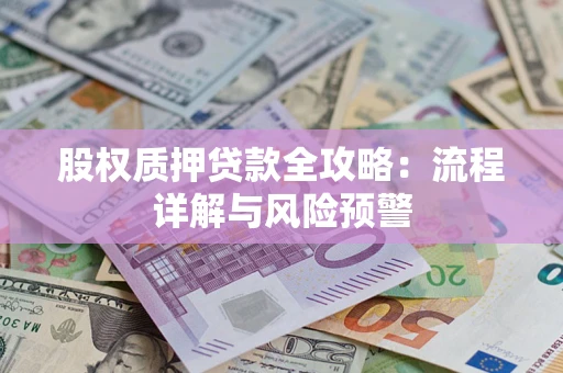 武汉股权质押贷款全攻略：流程详解与风险预警