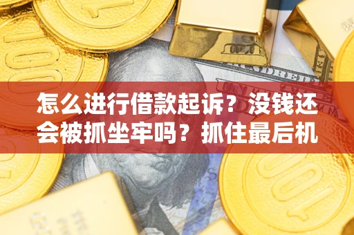 武汉怎么进行借款起诉？没钱还会被抓坐牢吗？抓住最后机会！