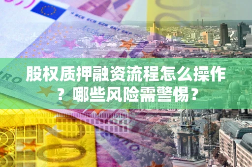 武汉股权质押融资流程怎么操作？哪些风险需警惕？