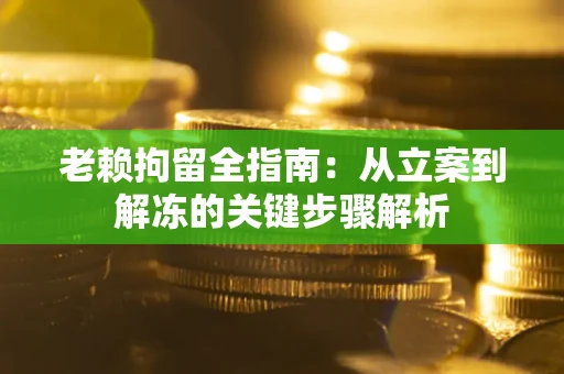 武汉老赖拘留全指南：从立案到解冻的关键步骤解析