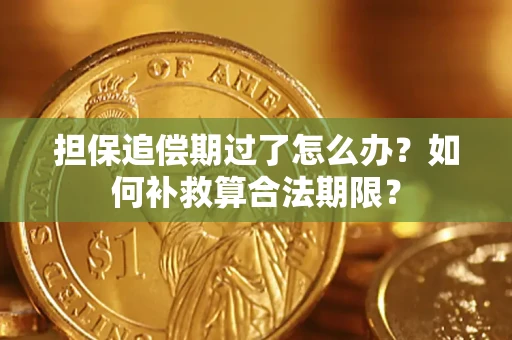 武汉担保追偿期过了怎么办？如何补救算合法期限？