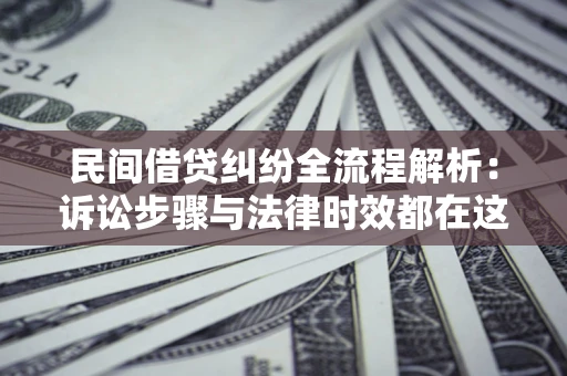 武汉民间借贷纠纷全流程解析：诉讼步骤与法律时效都在这儿了