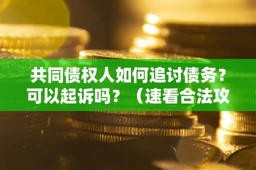 武汉共同债权人如何追讨债务？可以起诉吗？（速看合法攻略）