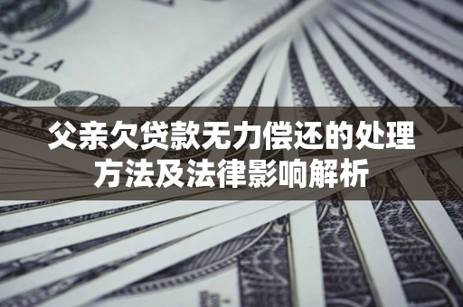 武汉父亲欠贷款无力偿还的处理方法及法律影响解析