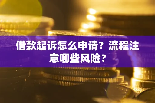 武汉借款起诉怎么申请？流程注意哪些风险？